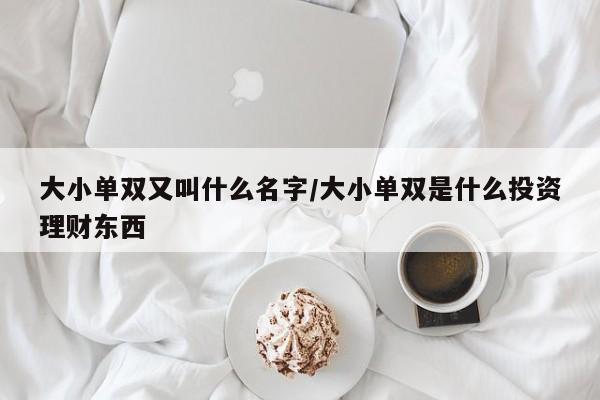 大小单双又叫什么名字/大小单双是什么投资理财东西