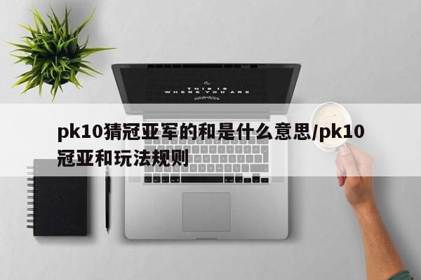 pk10猜冠亚军的和是什么意思/pk10冠亚和玩法规则
