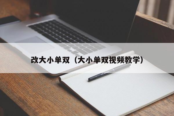改大小单双(大小单双视频教学)