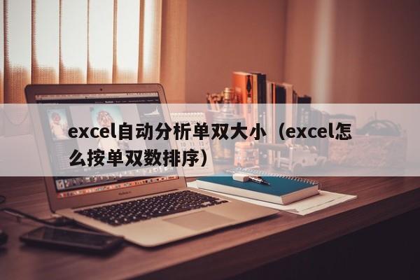 excel自动分析单双大小(excel怎么按单双数排序)