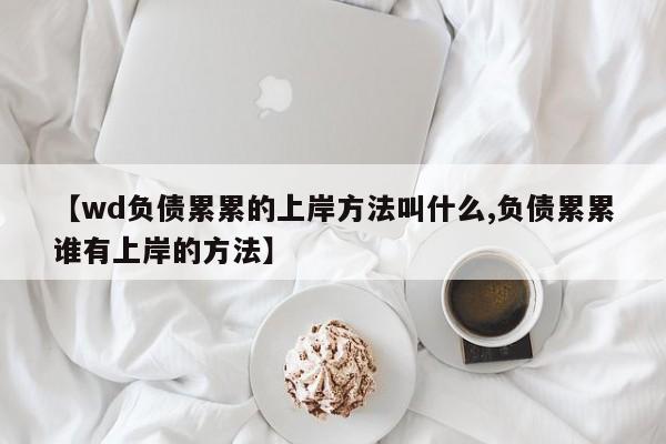 【wd负债累累的上岸方法叫什么,负债累累谁有上岸的方法】