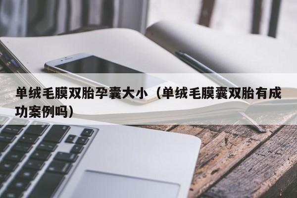 单绒毛膜双胎孕囊大小(单绒毛膜囊双胎有成功案例吗)