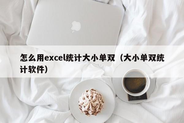 怎么用excel统计大小单双(大小单双统计软件)
