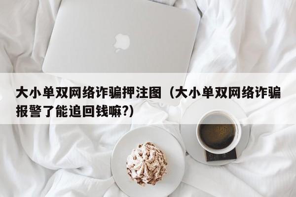 大小单双网络诈骗押注图(大小单双网络诈骗报警了能追回钱嘛?)