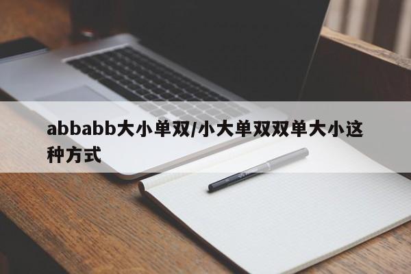 abbabb大小单双/小大单双双单大小这种方式
