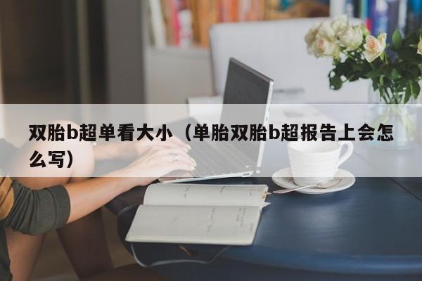 双胎b超单看大小(单胎双胎b超报告上会怎么写)