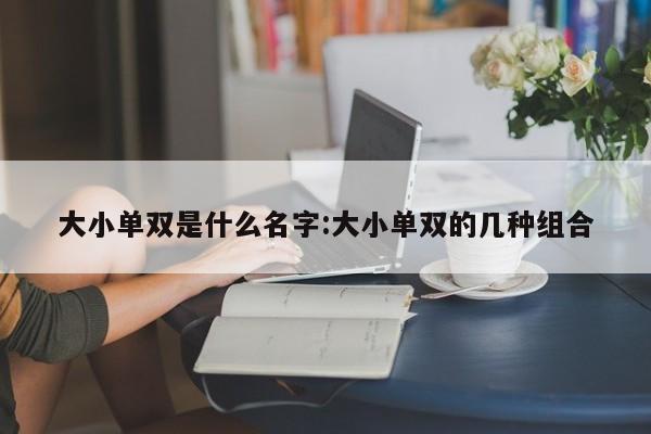 大小单双是什么名字:大小单双的几种组合
